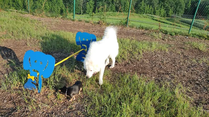 Abingdon Dog Park 6