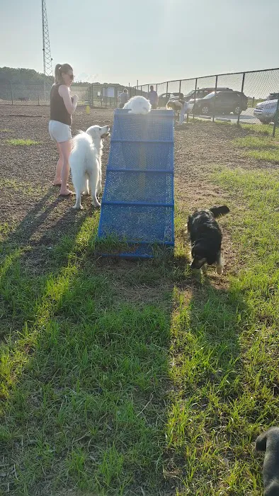Abingdon Dog Park 3
