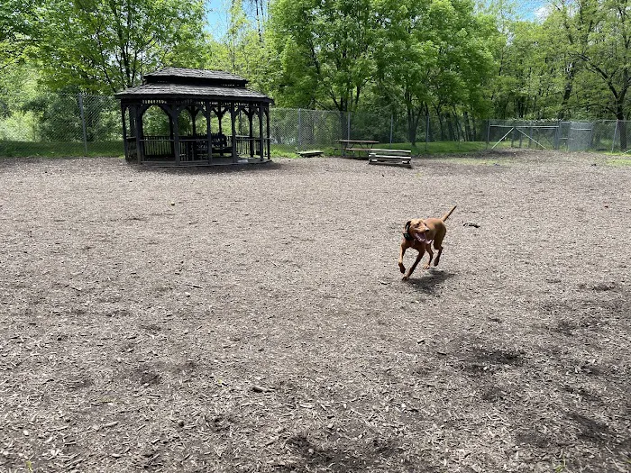 Ma & Pa Dog Park 1