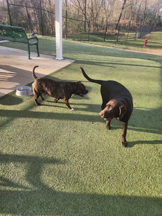 Ma & Pa Dog Park 4