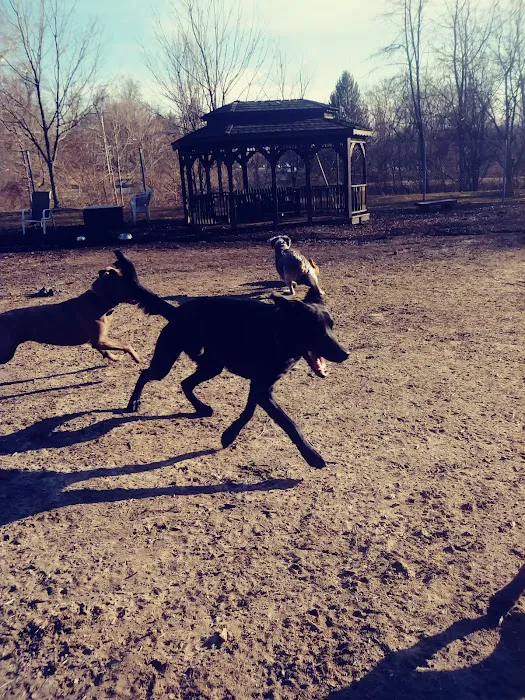 Ma & Pa Dog Park 10