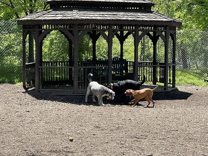 Ma & Pa Dog Park 5