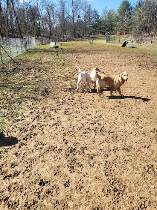 Ma & Pa Dog Park 8
