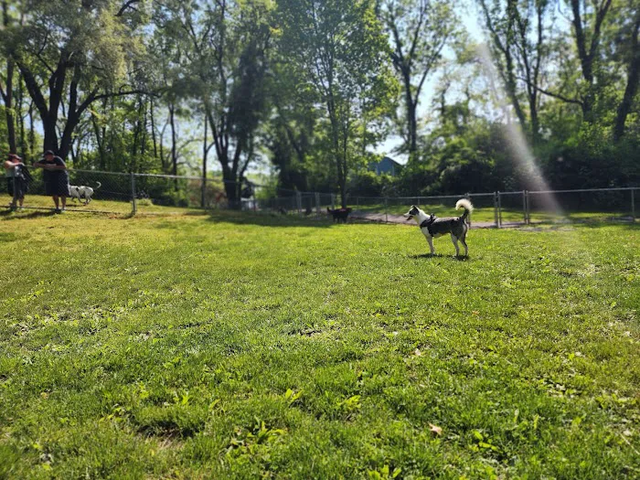 Stark Dog Park 1