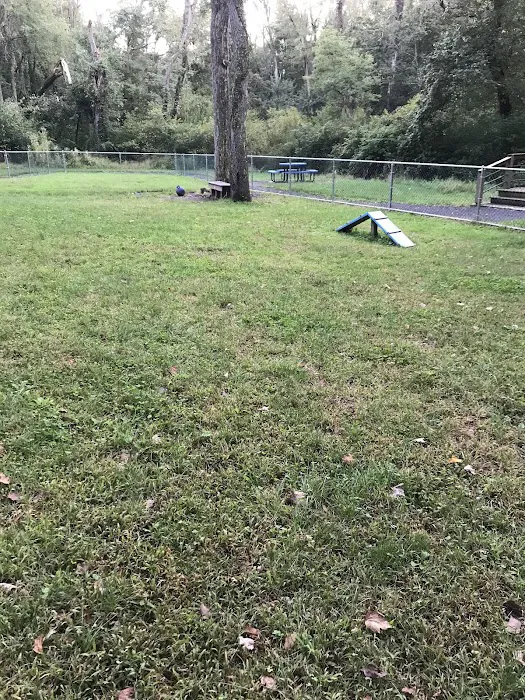 Stark Dog Park 5