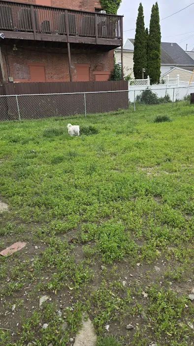 Hamilton Street Dog Park 1