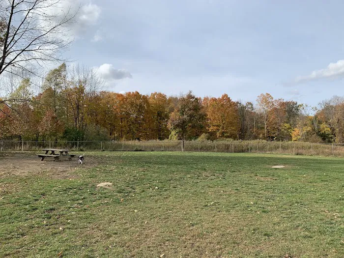 Salisbury Community Dog Park 3