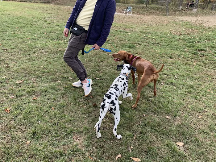 Salisbury Community Dog Park 2