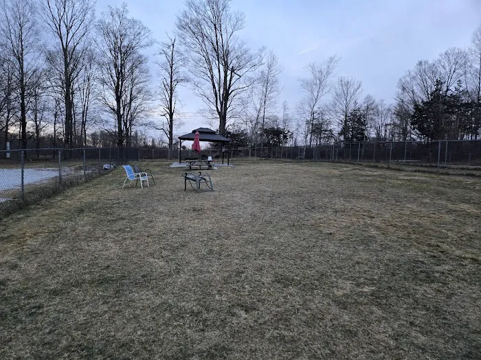 Salisbury Community Dog Park 9