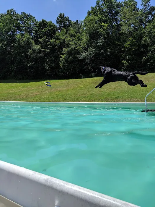 K9 Aqua Sports Club 1