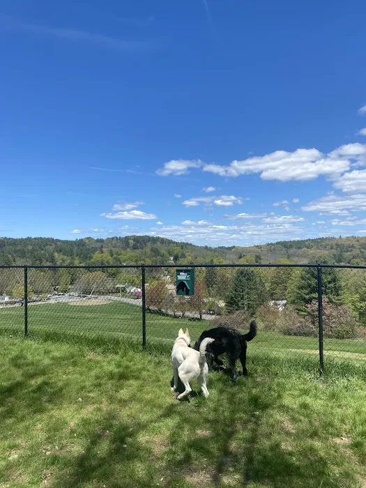 Brattleboro Dog Park 2
