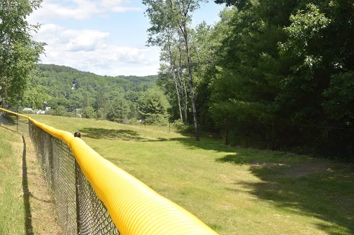 Brattleboro Dog Park 3