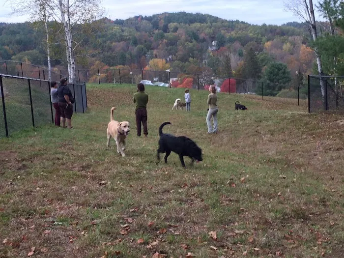 Brattleboro Dog Park 4