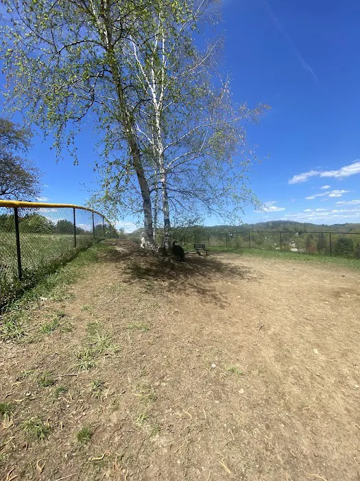 Brattleboro Dog Park 1