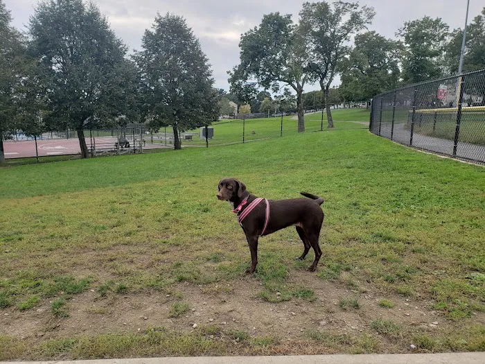 Vernon Hill Dog Park 1
