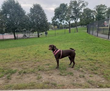 Vernon Hill Dog Park