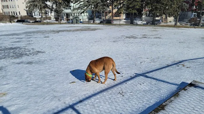 Vernon Hill Dog Park 4