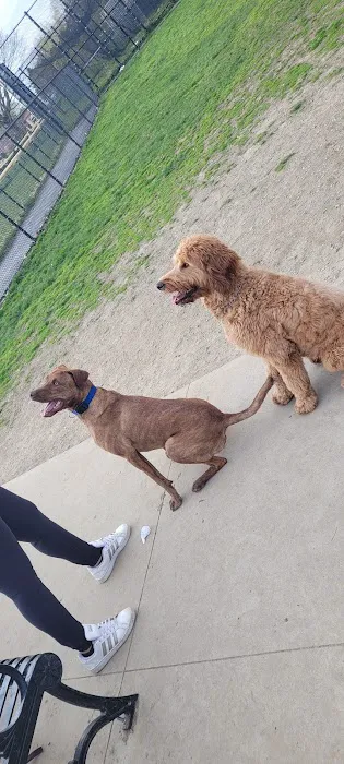 Vernon Hill Dog Park 3