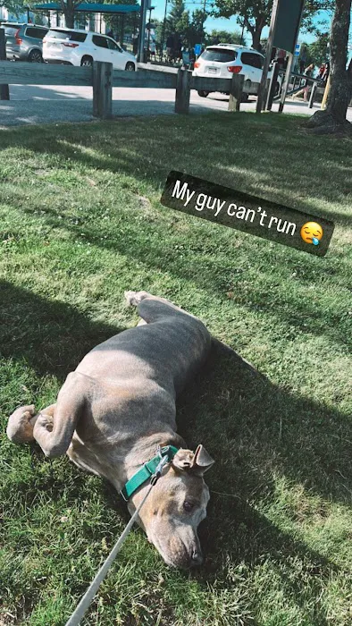 Vernon Hill Dog Park 5