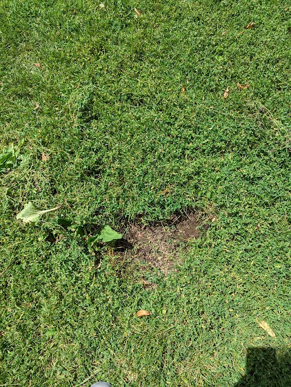 Vernon Hill Dog Park 2