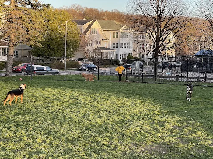 Vernon Hill Dog Park 9