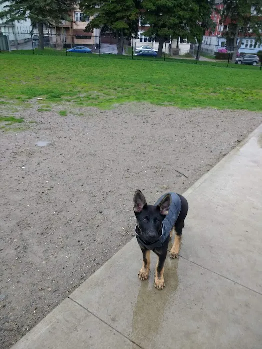 Vernon Hill Dog Park 10