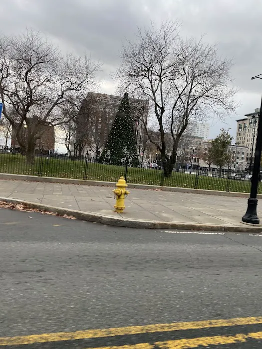 Downtown Dog Park 5