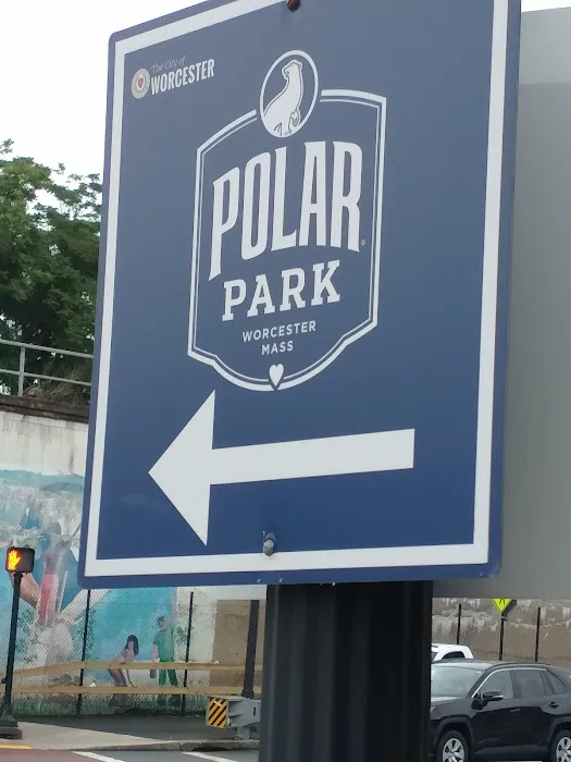 Downtown Dog Park 3