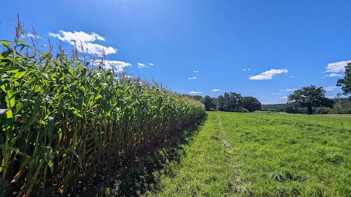 Tufts Farm Field 7