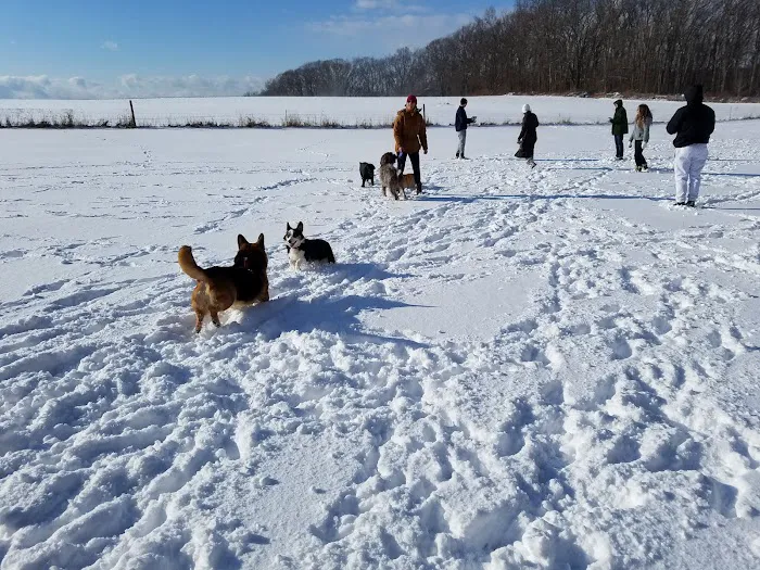 Tufts Farm Field 1