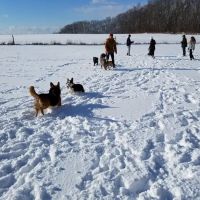 Tufts Farm Field ico