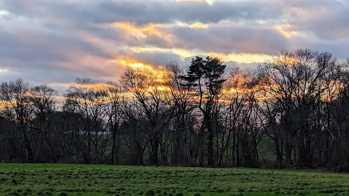 Tufts Farm Field 5
