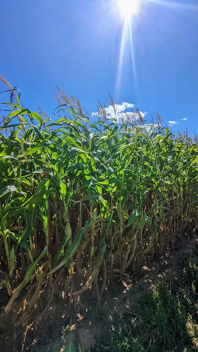 Tufts Farm Field 3