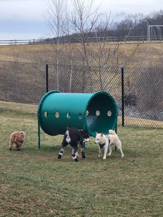 Dog Park at River’s Edge 8