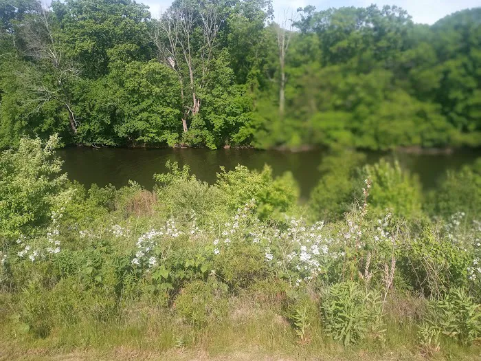 Dog Park at River’s Edge 4
