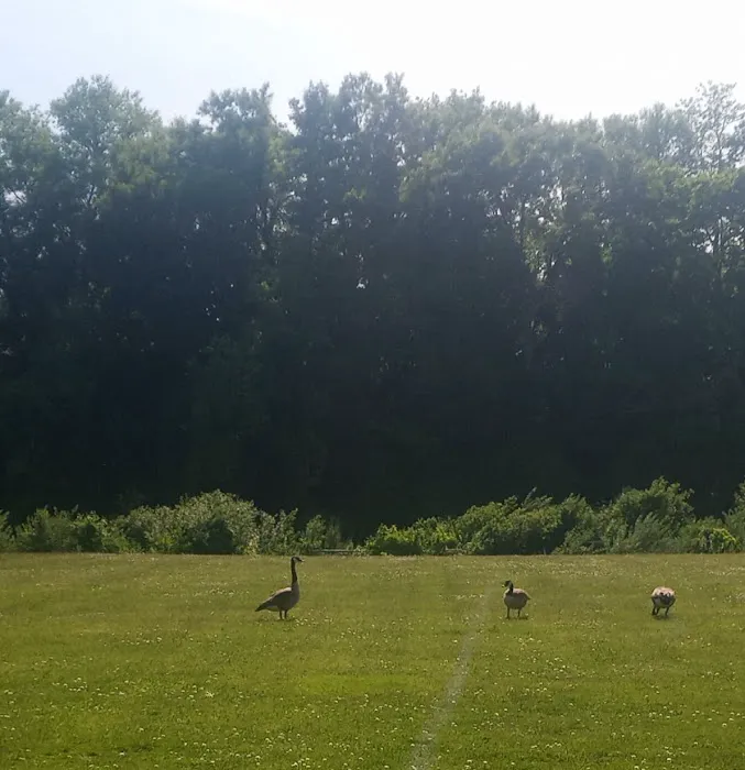 Dog Park at River’s Edge 1