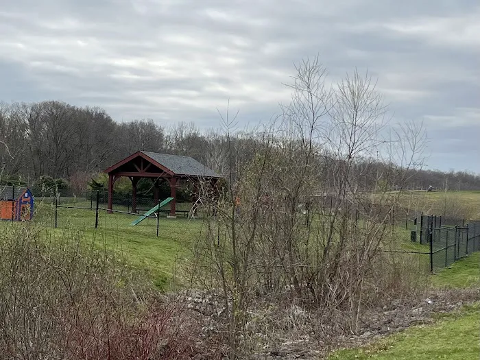 Dog Park at River’s Edge 7