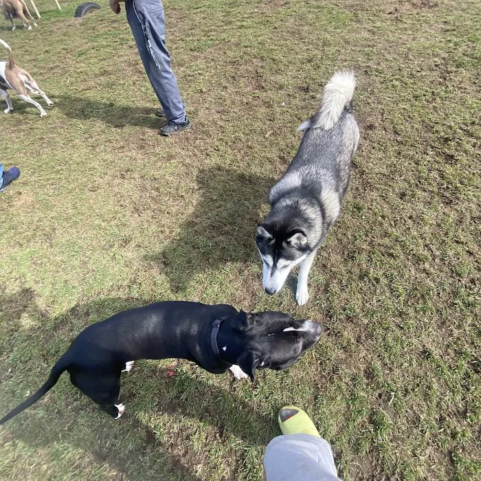 Dog Park at River’s Edge 5