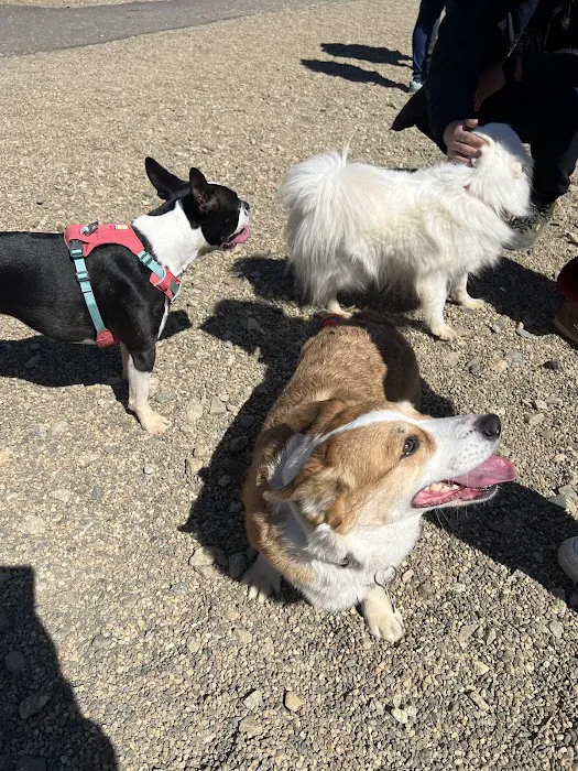 Hopkinton dog park 9