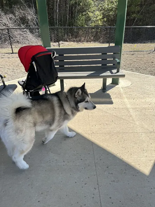 Hopkinton dog park 1