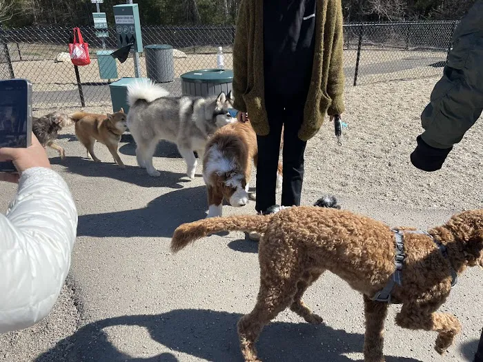 Hopkinton dog park 8