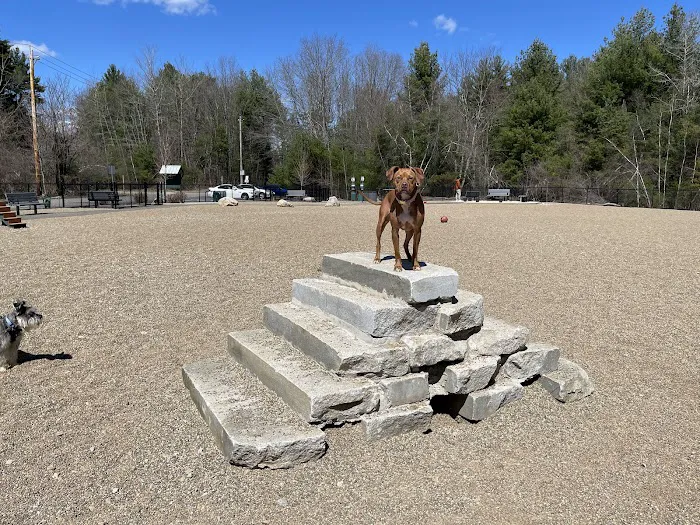Hopkinton dog park 10