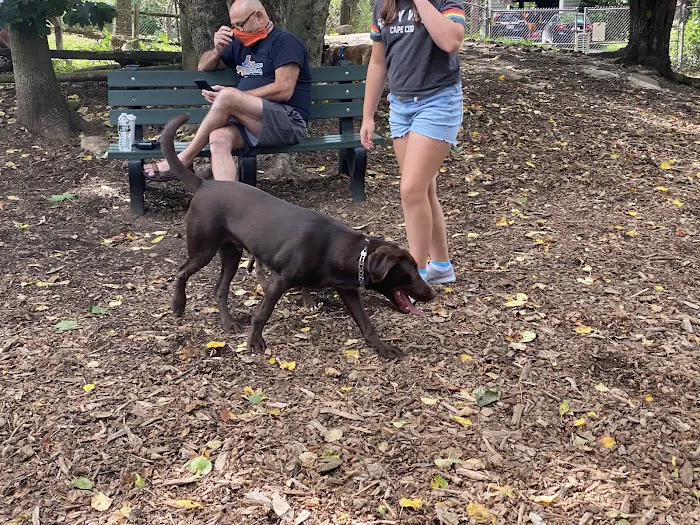 Medway Dog Park 4