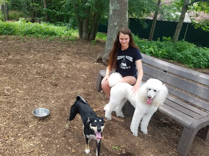Medway Dog Park 3