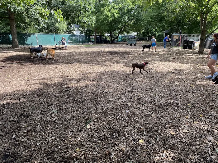 Medway Dog Park 6