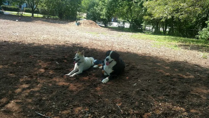 Medway Dog Park 10