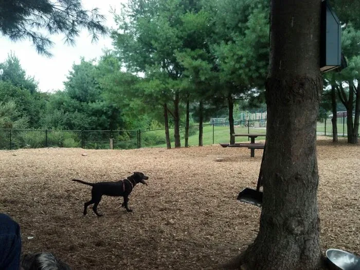 Dog Park at Dacey Community Field 3