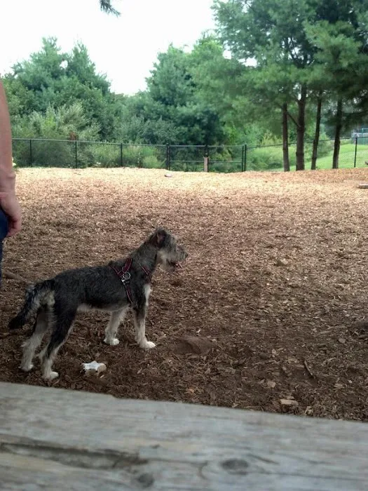 Dog Park at Dacey Community Field 7
