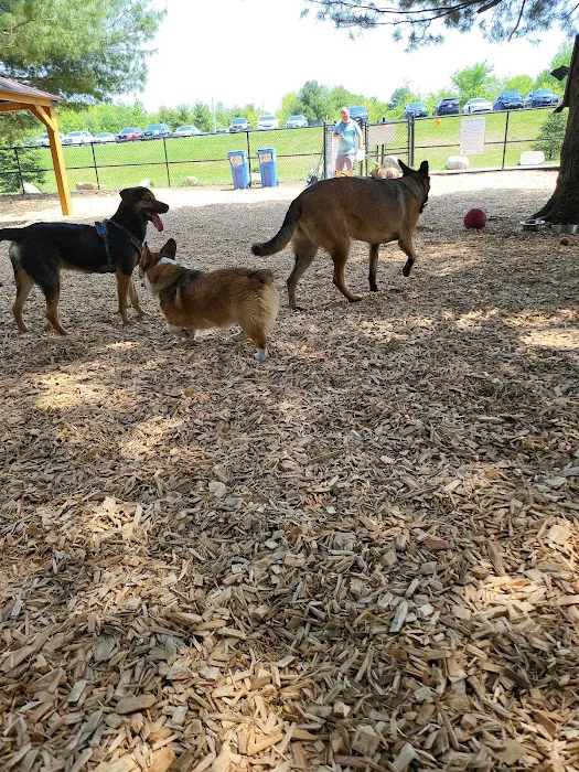Dog Park at Dacey Community Field 10