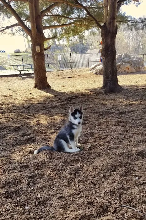 Dog Park at Dacey Community Field 9